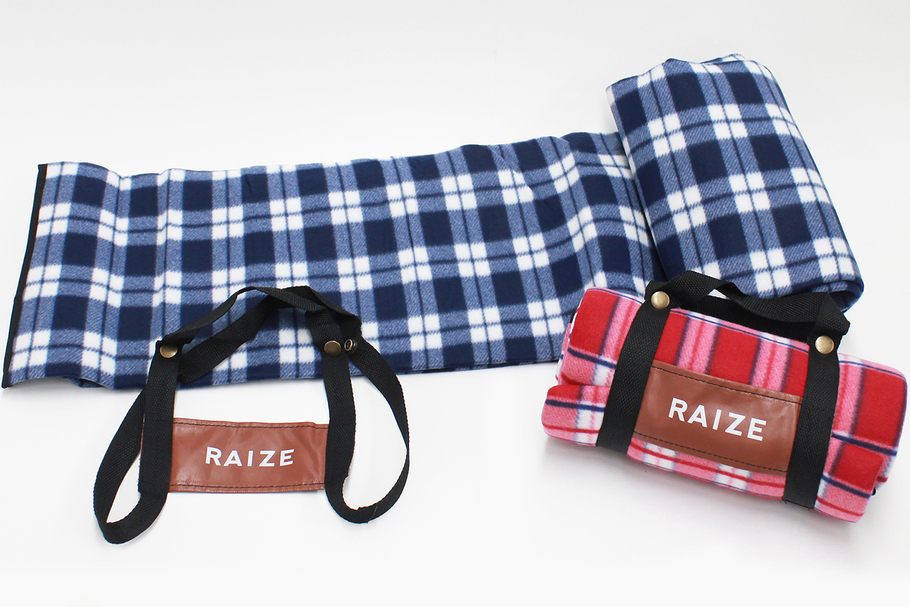RAIZE試乗+商談プレゼント
