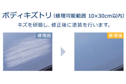 ボディキズトリ