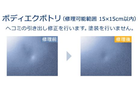 ボディエクボトリ