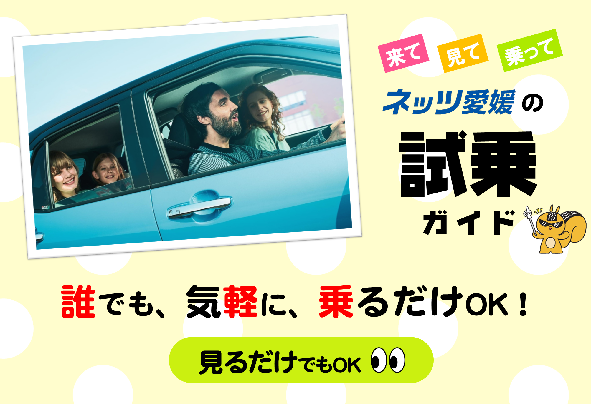 ネッツ愛媛の試乗ガイド  ネッツトヨタ愛媛株式会社
