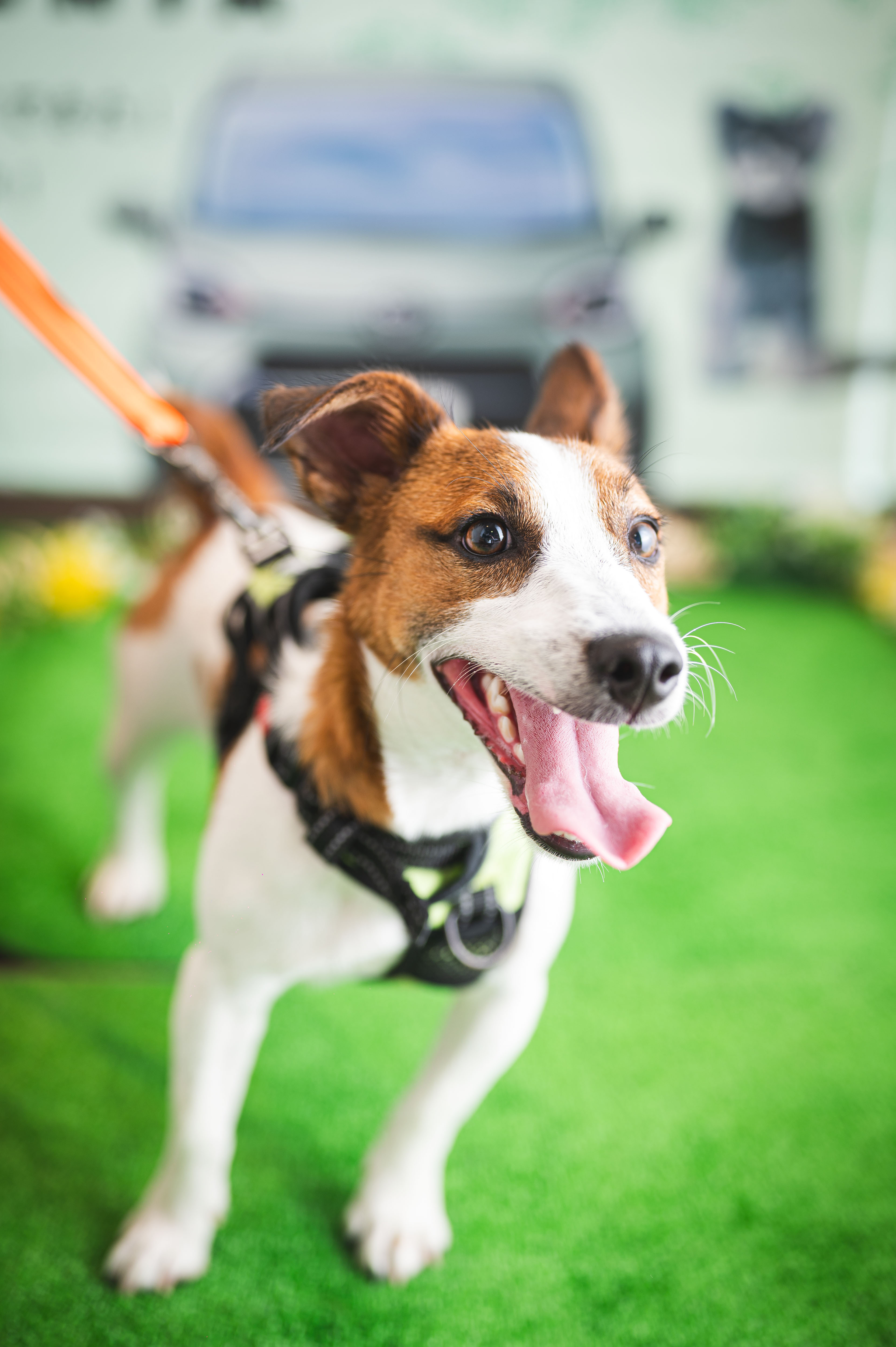 11 ボンドくん | ネッツトヨタ愛媛株式会社