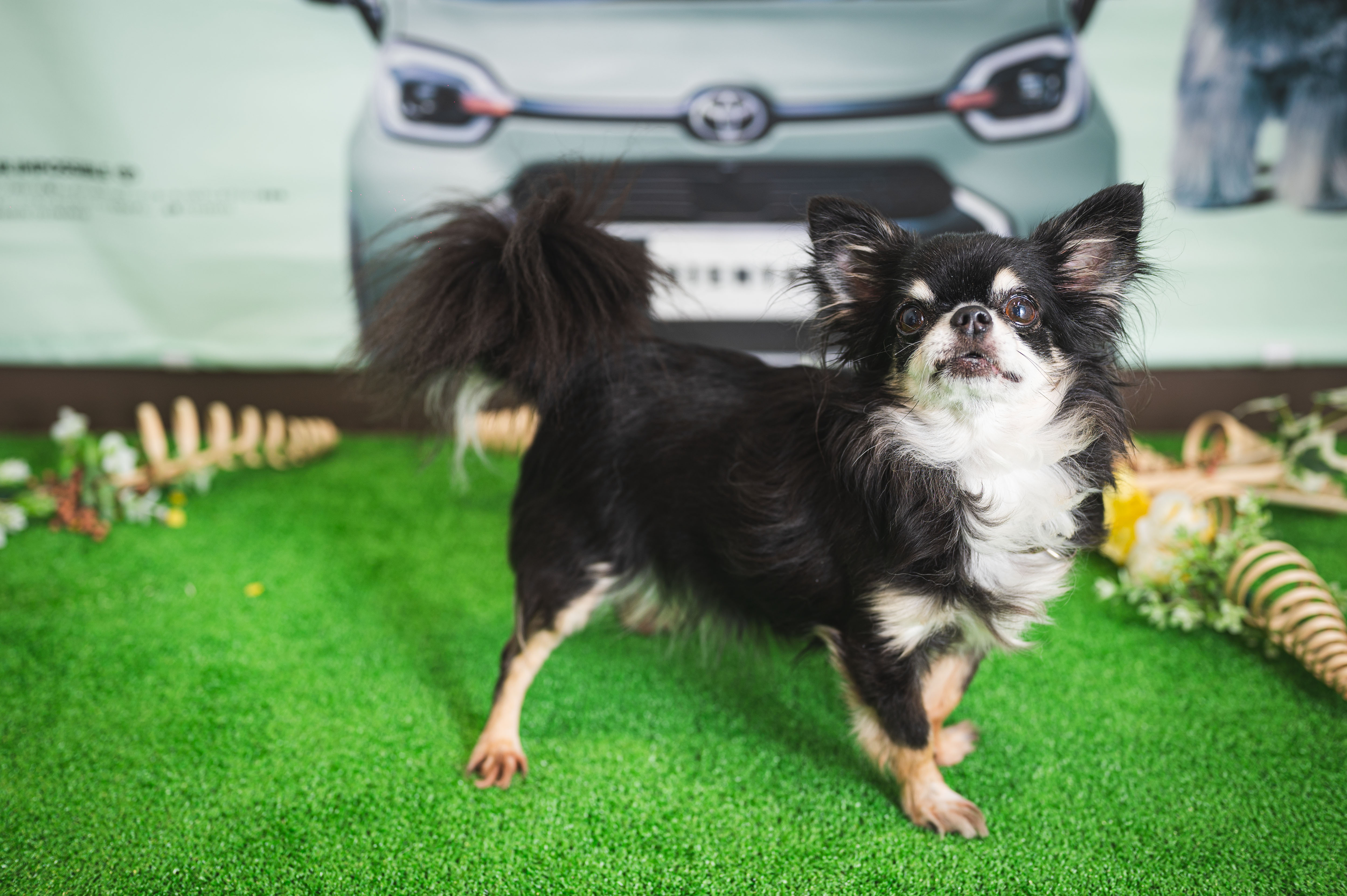 24 ねねちゃん | ネッツトヨタ愛媛株式会社