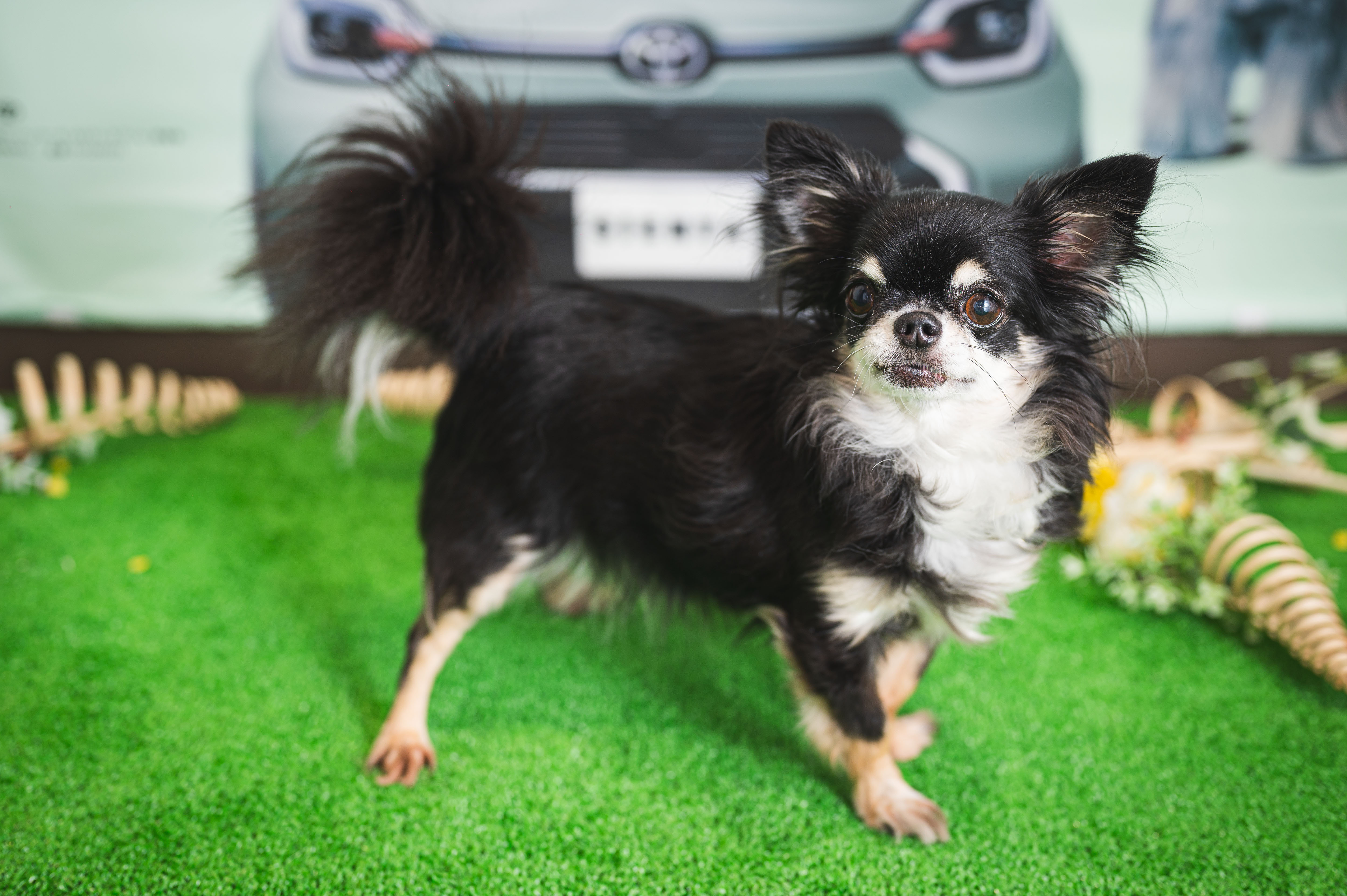 24 ねねちゃん | ネッツトヨタ愛媛株式会社