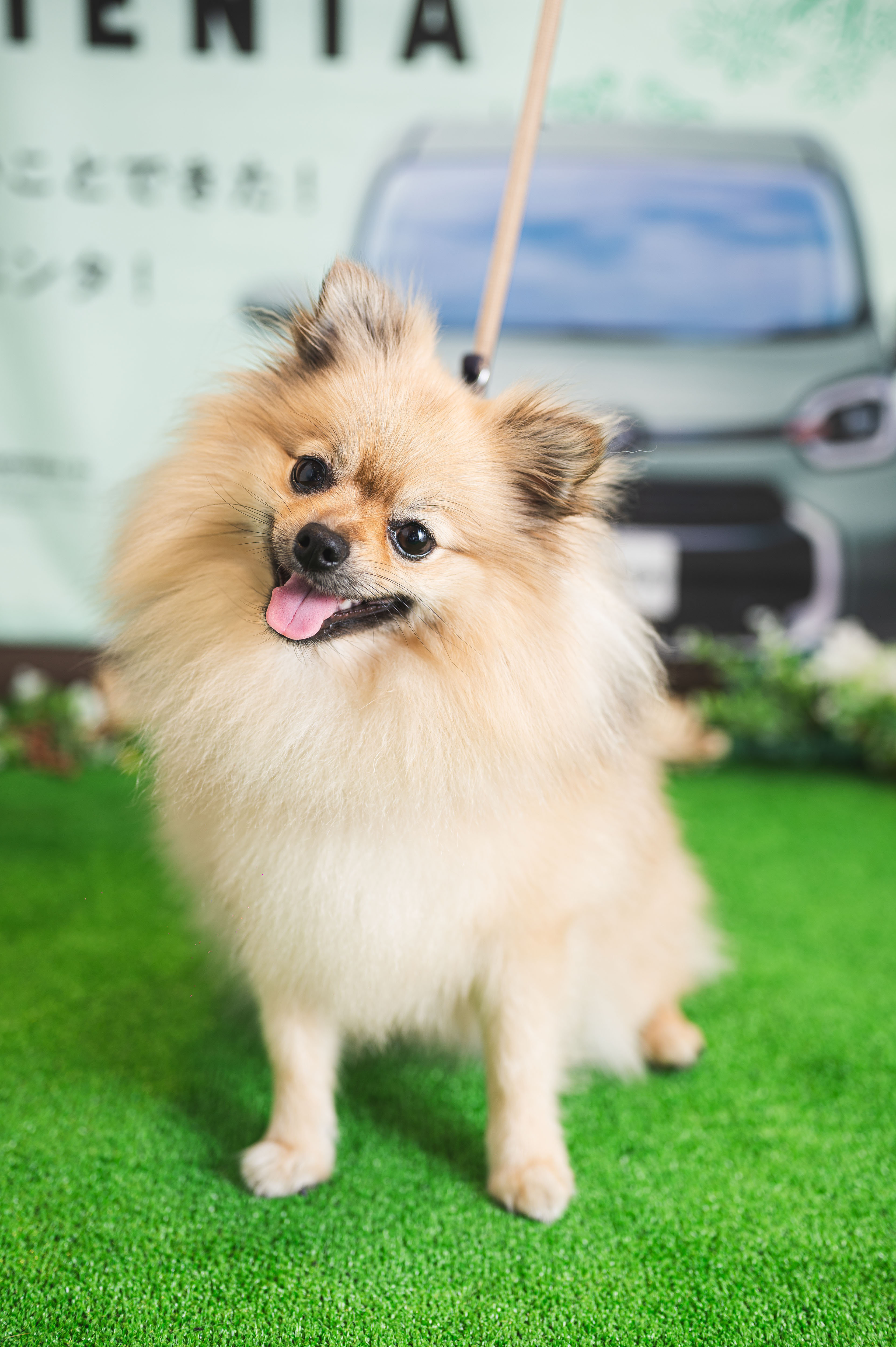 25 もずくちゃん | ネッツトヨタ愛媛株式会社