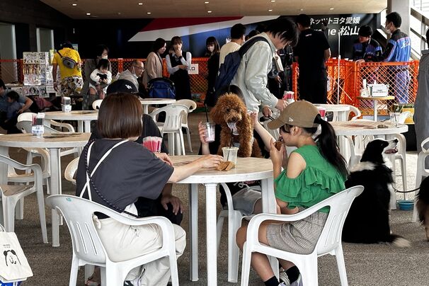 わんわんカフェ