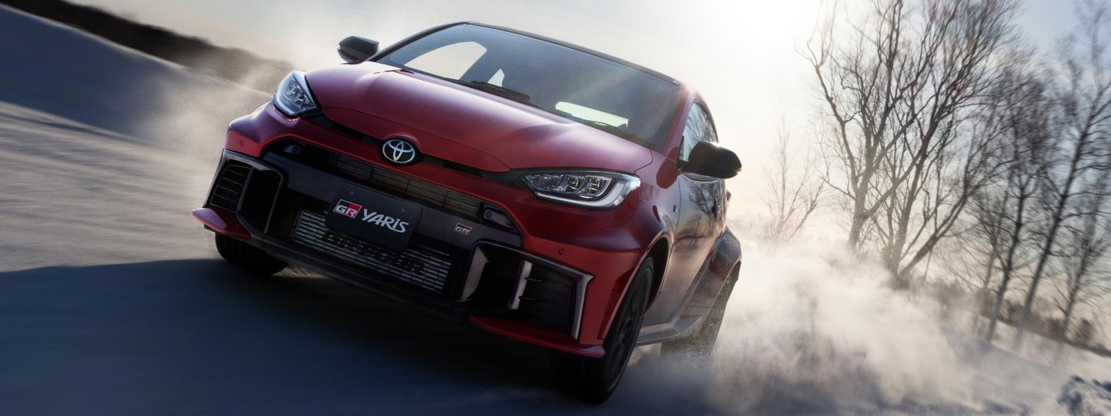 RZ“High performance”（6MT・4WD）