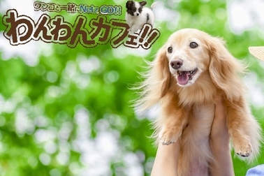 /file/cms/47301/934898/image.jpg